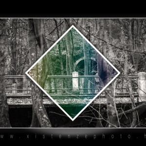 Évszakváltás, elmúlás a természet nyelvén...