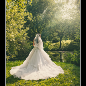 Esküvő kreatív fotózás - Erdőtelek